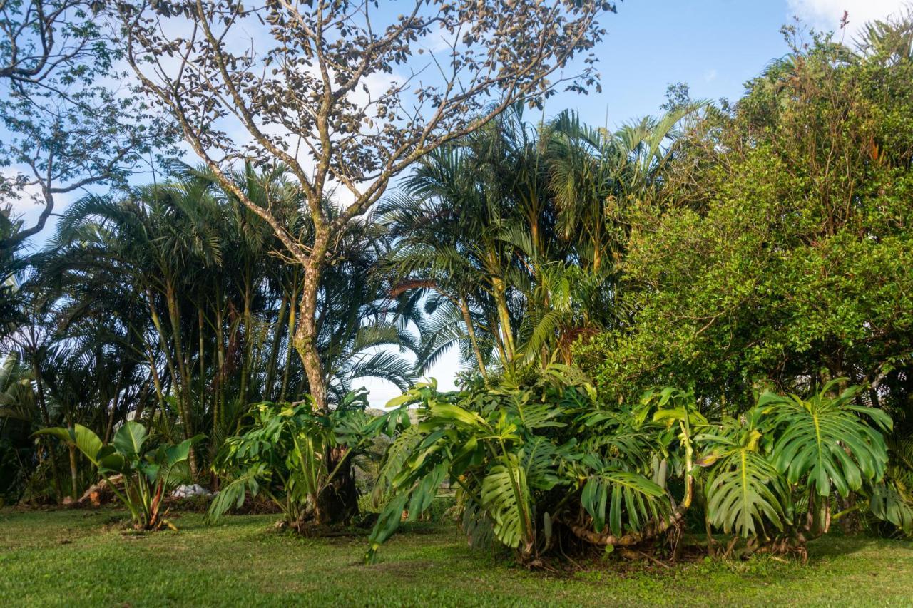 Vista Lago Arenal Piedras Zewnętrze zdjęcie